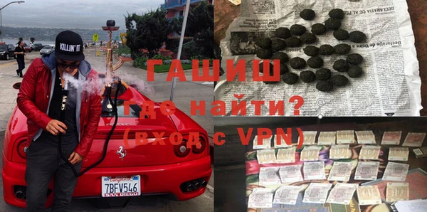 стаф Тосно