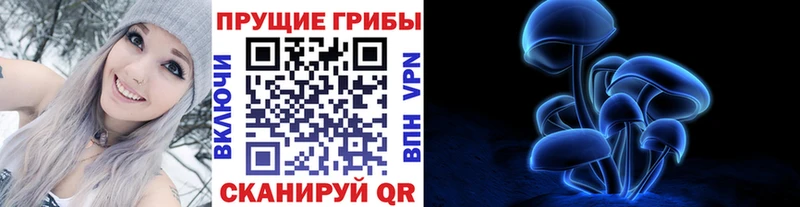 нарко площадка как зайти  Жуковка  Псилоцибиновые грибы MAGIC MUSHROOMS  купить закладку 